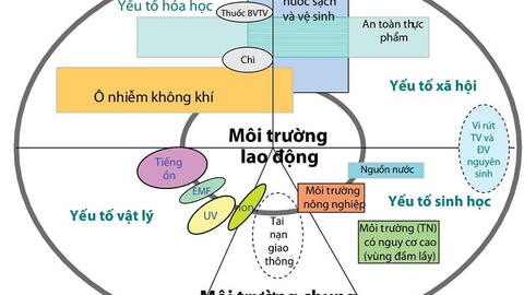 Bệnh nghề nghiệp và cách phòng tránh