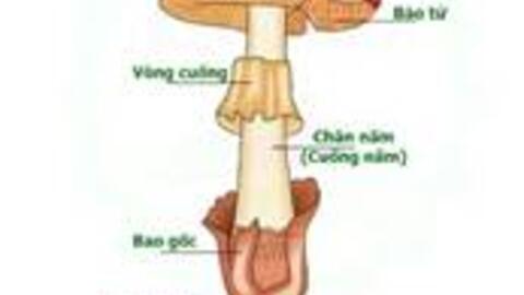 <a href="/menu-second/tin-tuc-su-kien/tin-hoat-dong-so" title="Tin hoạt động trung tâm" rel="dofollow">Tin nổi bật</a>
