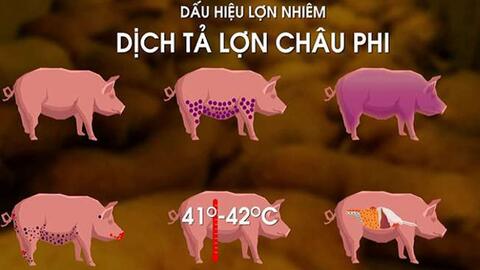 <a href="/menu-second/van-ban-phap-luat/trung-tam-kiem-soat-benh-tat" title="Trung tâm kiểm soát bệnh tật" rel="dofollow">Tin nổi bật</a>