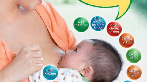 <a href="/menu-second/tin-tuc-su-kien/tin-hoat-dong-so" title="Tin hoạt động trung tâm" rel="dofollow">Tin nổi bật</a>