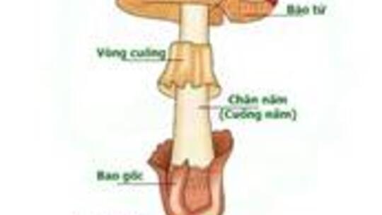 <a href="/menu-second/tin-tuc-su-kien/tin-hoat-dong-so" title="Tin hoạt động trung tâm" rel="dofollow">Tin nổi bật</a>